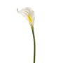 Calla decorativa TEMBANA, bianca, 65 cm