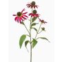 Ramo artificiale di echinacea MILROV, fucsia, 75cm