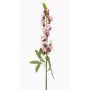Fiore sintetico bocca di leone LIMORG, crema-fucsia, 80cm