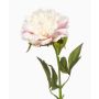 Fiore artificiale di peonia GAVRON, bianco-rosa, 55 cm
