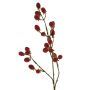Ramo artificiale di rovo URUMA con frutti, rosso, 90 cm
