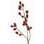 Ramo artificiale di rovo URUMA con frutti, rosso, 90cm
