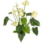 Anthurium artificiale NAKITA su stelo, color crema, 50 cm
