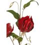 Ramo di gloriosa vellutato DINFAS, rosso scuro-oro, 80 cm