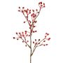 Ramo artificiale di rosa selvatica HIKERNO con cinorrodi, rosso, 60 cm