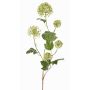 Ramo di viburno sintetico TENSHI, verde, 90cm, Ø5-10cm