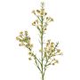 Ramo artificiale di fiori di cera FRINDALS, color crema, 65 cm, Ø 1,5-2 cm