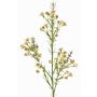 Ramo artificiale di fiori di cera FRINDALS, color crema, 65cm, Ø1,5-2cm