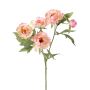 Ramo artificiale di peonia LARDUAN, Eco Collection, rosa-bianco, 60 cm, Ø 7 cm