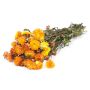 Mazzo di fiori secchi ALMINKA, giallo-arancione, 50-60 cm, Ø 15 cm