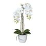 Orchidea Phalaenopsis artificiale LARKEN in vaso di ceramica, con radici, bianca, 45 cm