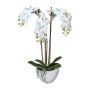 Orchidea Phalaenopsis artificiale LARKEN in ciotola di ceramica, con radici, bianca, 50cm