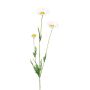 Ramo decorativo margherita FRUHIL, bianco, 65 cm