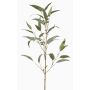 Ramo decorativo di eucalipto JURKA con frutti, verde-grigio, 90 cm