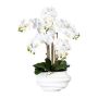 Orchidea Phalaenopsis in tessuto ZALBROK, vaso decorativo bianco, radici bianche, 75 cm