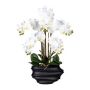 Orchidea Phalaenopsis in tessuto ZALBROK, vaso decorativo nero, radici bianche, 75 cm