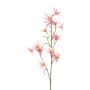 Ramo artificiale Tweedia solanoides ZORHIL, rosa metallizzato, 75 cm
