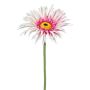 Fiore artificiale Gerbera FELISY, rosa-bianco, 65 cm