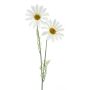 Margherita artificiale SOPY, bianca, 55 cm