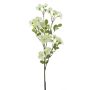 Ramo decorativo di fiori di melo WENIA, color crema, 70 cm, Ø 2-4 cm