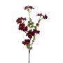 Fioro decorativo ramo di fiori di melo WENIA, rosso scuro, 70 cm, Ø 2-4 cm