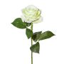 Fiore sintetico rosa ETAVOL, verde chiaro-bianco, 55cm, Ø8,5cm