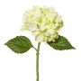 Fiore artificiale di ortensia BLUVE, verde chiaro, 35cm