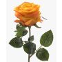 Rosa finta SIMONY, giallo-arancione, 45cm, Ø8cm