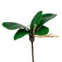Foglie artificiali di orchidea Phalaenopsis ZULKRAM, bastoncino di sostegno, radici aeree, 15cm