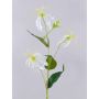 Fiore artificiale Gloriosa MAFIRNA, bianco-verde, 80 cm