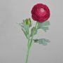 Ranuncolo artificiale CADISS, rosa shocking, 50 cm, Ø 7,5 cm