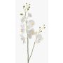 Ramo decorativo di orchidea Phalaenopsis LAHNA, bianco, 95cm