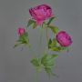 Ramo decorativo di peonia MEIRU, viola scuro, 70 cm, Ø 9-12 cm