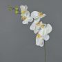 Ramo artificiale di orchidea Phalaenopsis LANUA, color crema, 70 cm, Ø 8,5-12 cm
