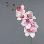 Ramo artificiale di orchidea Phalaenopsis LANUA, crema-rosa, 70 cm, Ø 8,5-12 cm