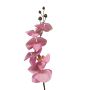 Ramo artificiale di orchidea Phalaenopsis LANUA, rosa, 70 cm, Ø 8,5-12 cm