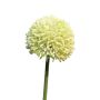 Fiore artificiale Allium BAILIN, verde crema, 45 cm, Ø 6,5 cm