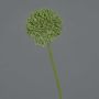 Fiore artificiale Allium BAILIN, verde, 45 cm, Ø 6,5 cm