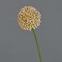 Fiore artificiale Allium BAILIN, rosa-crema, 45 cm, Ø 6,5 cm