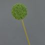 Fiore artificiale Allium BAILIN, verde, 65 cm, Ø 10 cm
