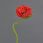 Fiore decorativo papavero ANKANG, rosso, 70 cm, Ø 9,5 cm