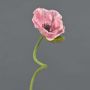 Fiore decorativo papavero ANKANG, rosa, 70 cm, Ø 9,5 cm