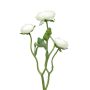 Ramo decorativo di ranuncoli JIXIANG, bianco, 50cm