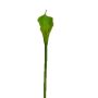 Fiore decorativo Zantedeschia DOU, verde, 70 cm