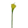 Fiore decorativo Zantedeschia DOU, giallo-verde, 70 cm