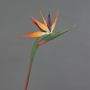 Fiore artificiale Strelitzia DONGLIN, arancione-viola, 85 cm, 14x25 cm
