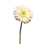 Fiore artificiale Gerbera QIUDONG, color crema, 50 cm, Ø 12 cm