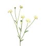 Ramo artificiale di centaurea TAOTAO, color crema, 65 cm, Ø 4-5 cm