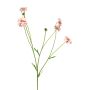 Ramo artificiale di centaurea TAOTAO, rosa-rosa, 65 cm, Ø 4-5 cm