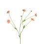 Ramo artificiale di centaurea TAOTAO, rosa, 65 cm, Ø 4-5 cm